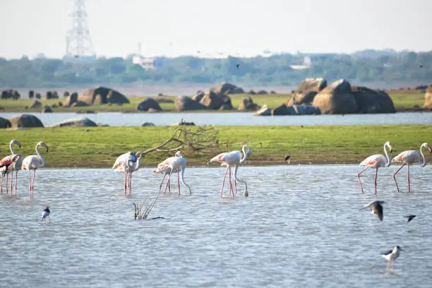 Himayat Sagar Lake